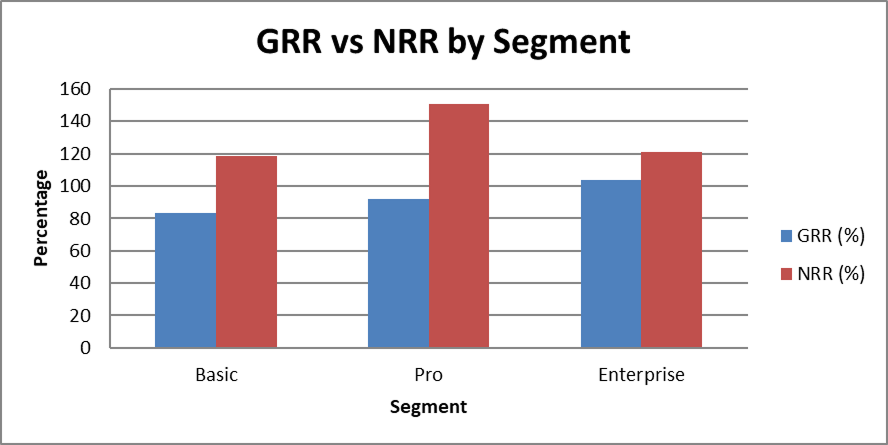 Charts showcasing GRR vs NRR by segment